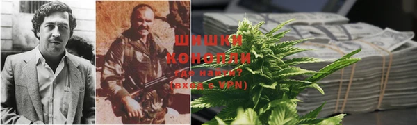 прущая мука Нея