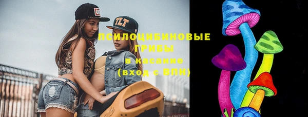 прущая мука Нея